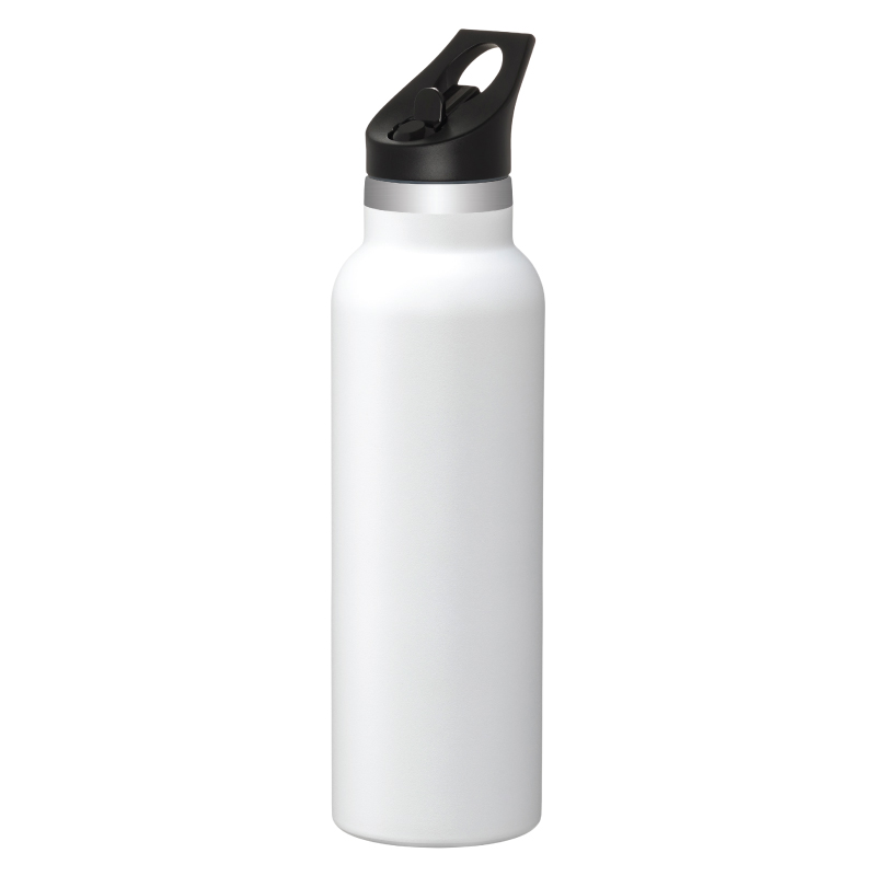 Winston - Insulated 20 oz Water Bottle with Straw Cap (RTS4916)